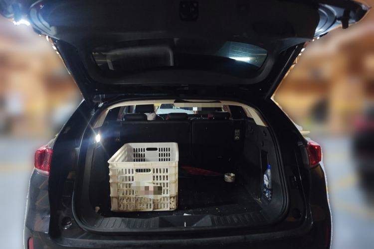 Used Wey VV7 2017 2.0T Flagship Model Trunk