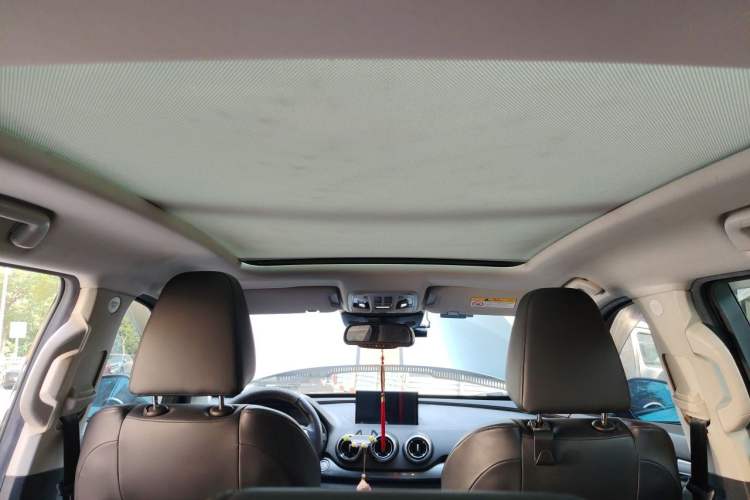 Used Wey VV7 2017 2.0T Ultra-Luxury Version Headliner