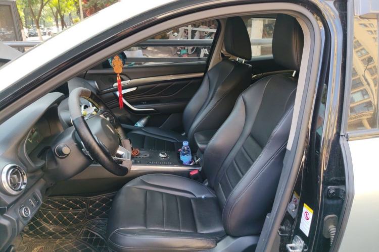 Used Wey VV7 2017 2.0T Ultra-Luxury Version Left Front Seat