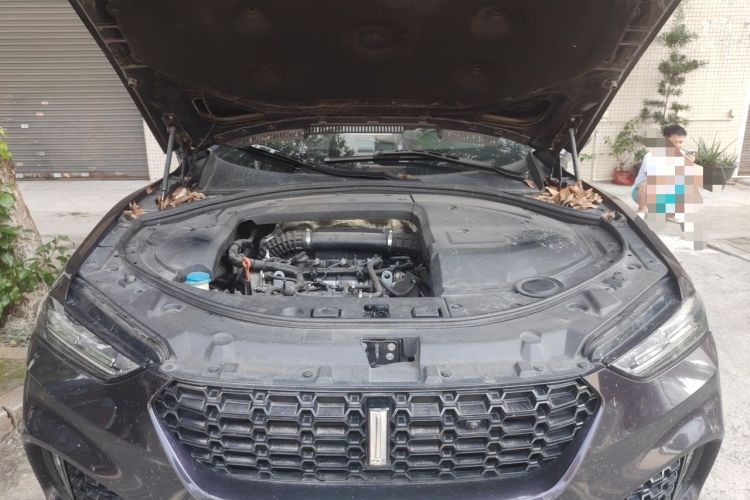 Used Wey VV7 2017 2.0T Ultra-Luxury Version Engine Bay