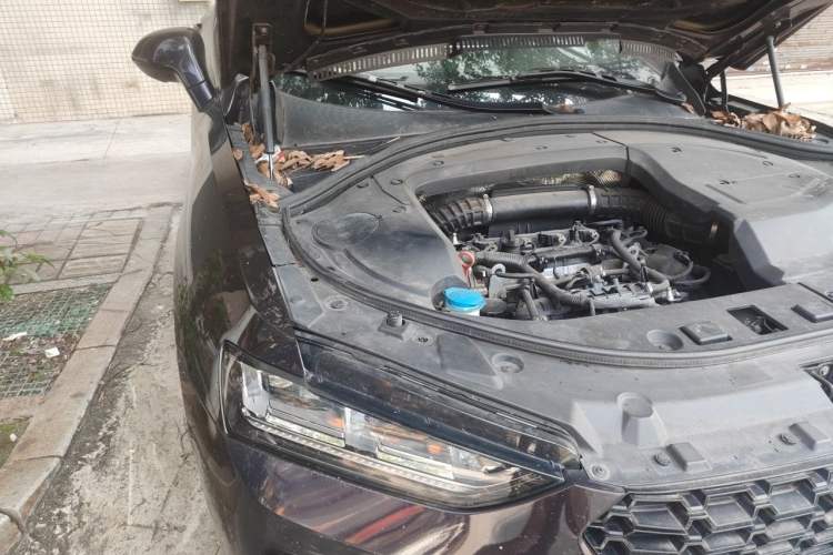 Used Wey VV7 2017 2.0T Ultra-Luxury Version Engine Bay Right