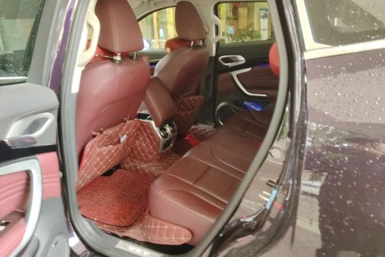 Used Wey VV7 2017 2.0T Ultra-Luxury Version Left Rear Seat