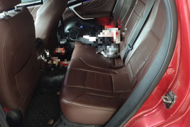 Used Wey VV7 2017 2.0T Ultra-Luxury Version Left Rear Seat