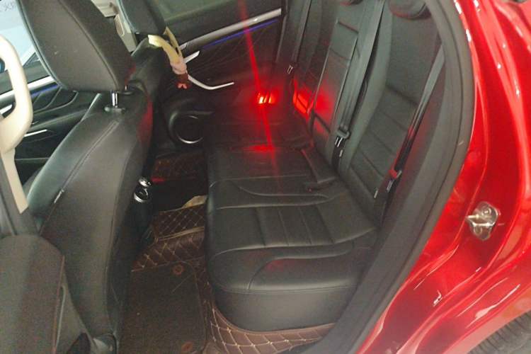 Used Wey VV7 2017 2.0T Ultra-Luxury Version Left Rear Seat