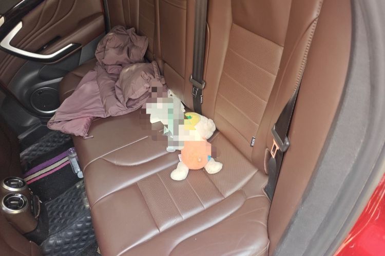 Used Wey VV7 2017 2.0T Flagship Model Left Rear Seat