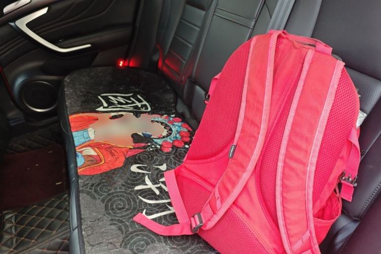 Used Wey VV7 2017 2.0T Luxury Model Left Rear Seat