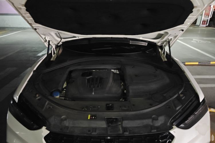 Used Wey VV7 2017 2.0T Ultra-Luxury Version Engine Bay