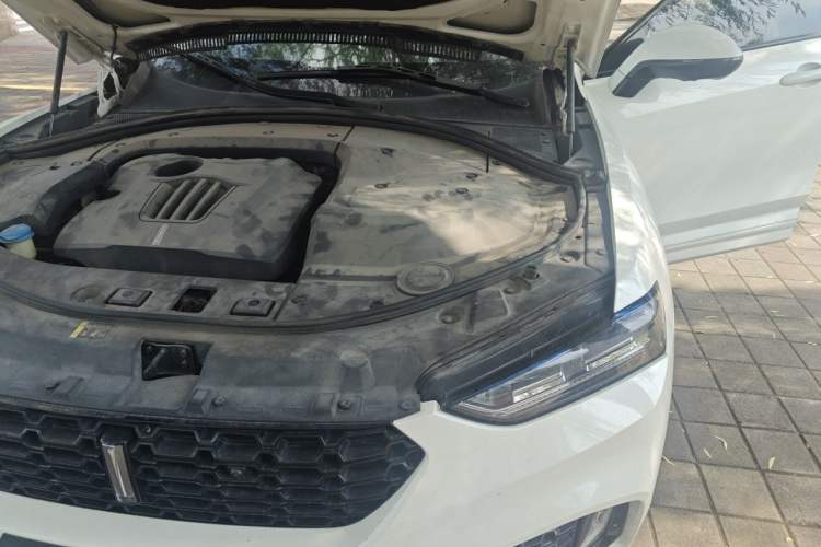 Used Wey VV7 2017 2.0T Flagship Model Engine Bay Left