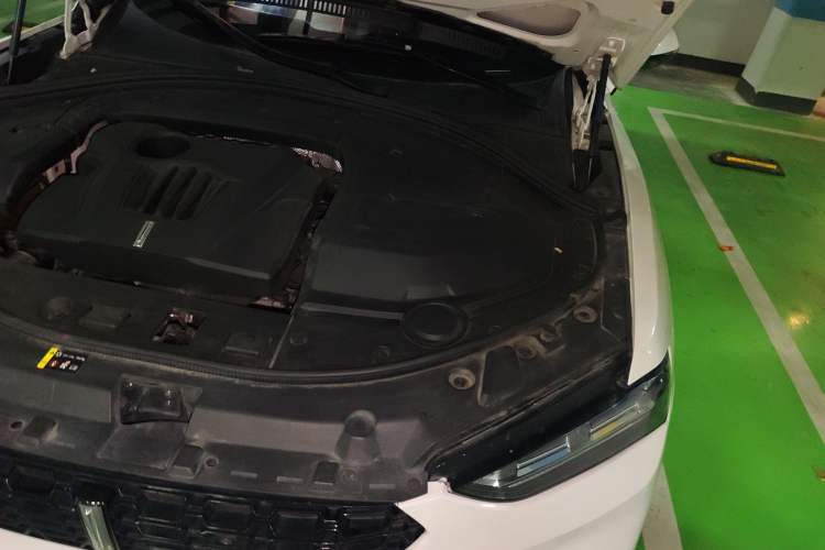 Used Wey VV7 2017 2.0T Ultra-Luxury Version Engine Bay Left