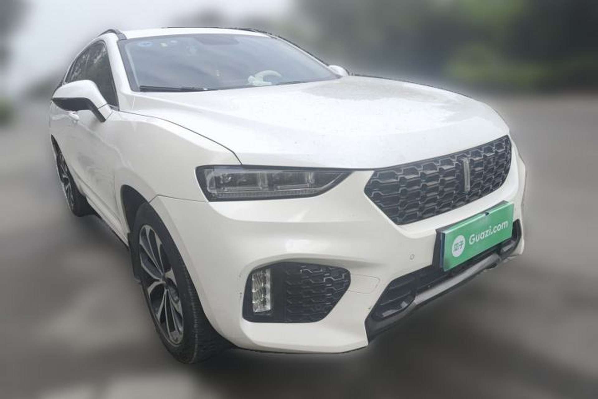Used Wey VV7 2017 2.0T Luxury Model Exterior 2
