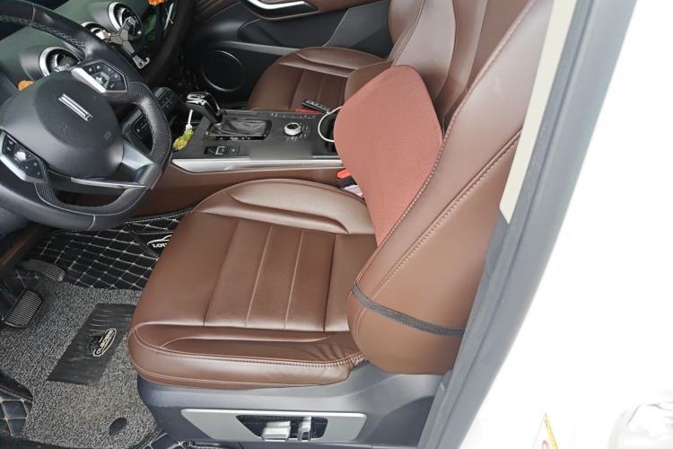Used Wey VV7 2017 2.0T Ultra-Luxury Version Left Front Seat