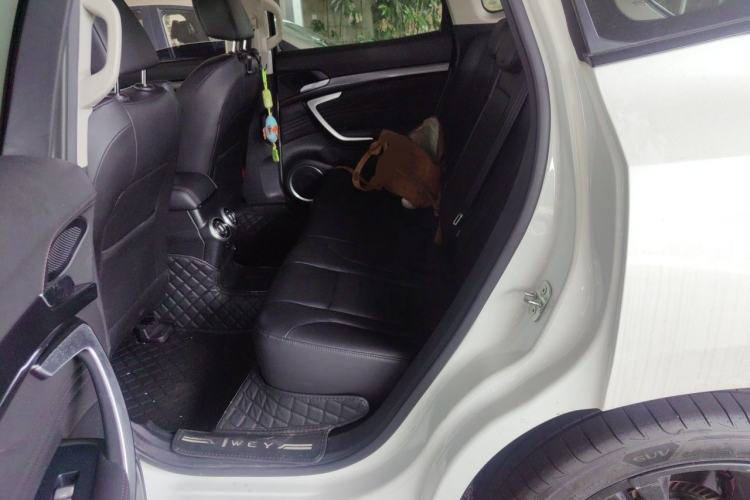 Used Wey VV7 2017 2.0T Ultra-Luxury Version Left Rear Seat