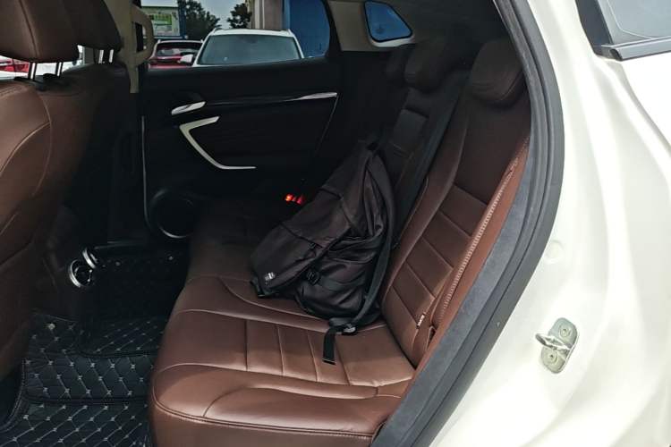 Used Wey VV7 2017 2.0T Ultra-Luxury Version Left Rear Seat