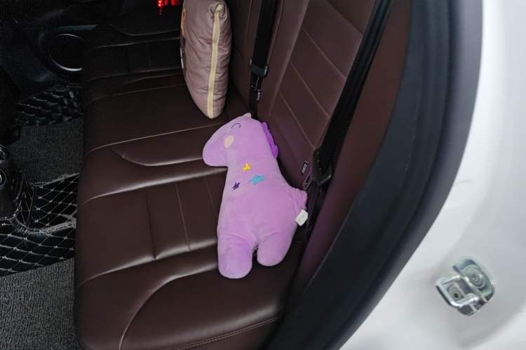 Used Wey VV7 2017 2.0T Ultra-Luxury Version Left Rear Seat