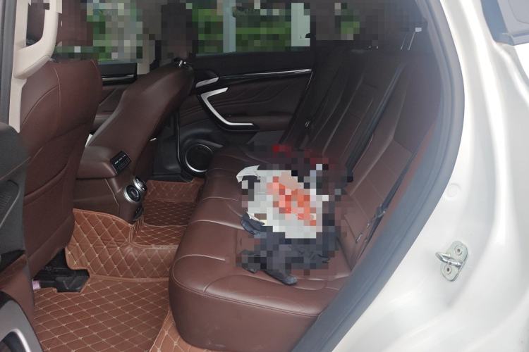 Used Wey VV7 2017 2.0T Flagship Model Left Rear Seat