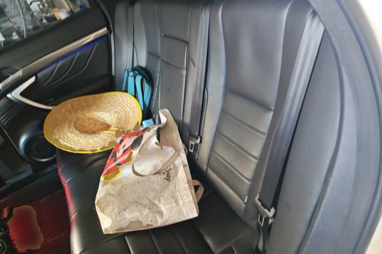 Used Wey VV7 2017 2.0T Ultra-Luxury Version Left Rear Seat