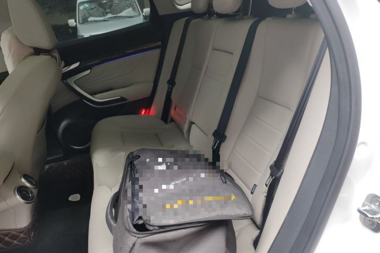 Used Wey VV7 2017 2.0T Ultra-Luxury Version Left Rear Seat