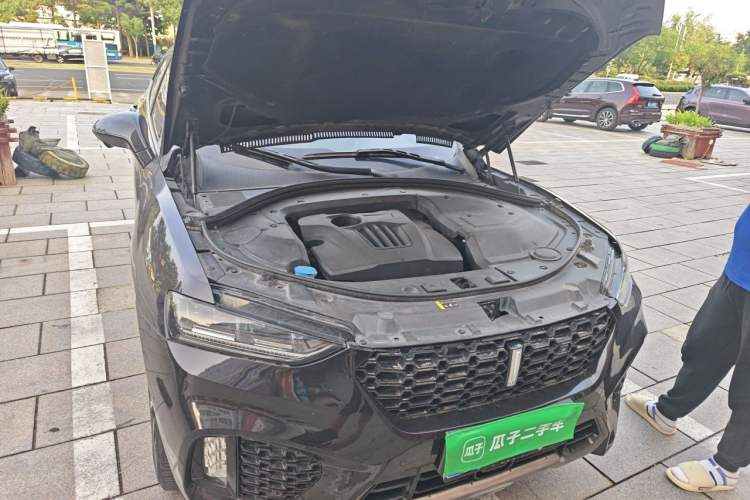 Used Wey VV7 2019 Upgraded Model 2.0T Ultra-Luxury Version China VI Standard Engine Bay Right