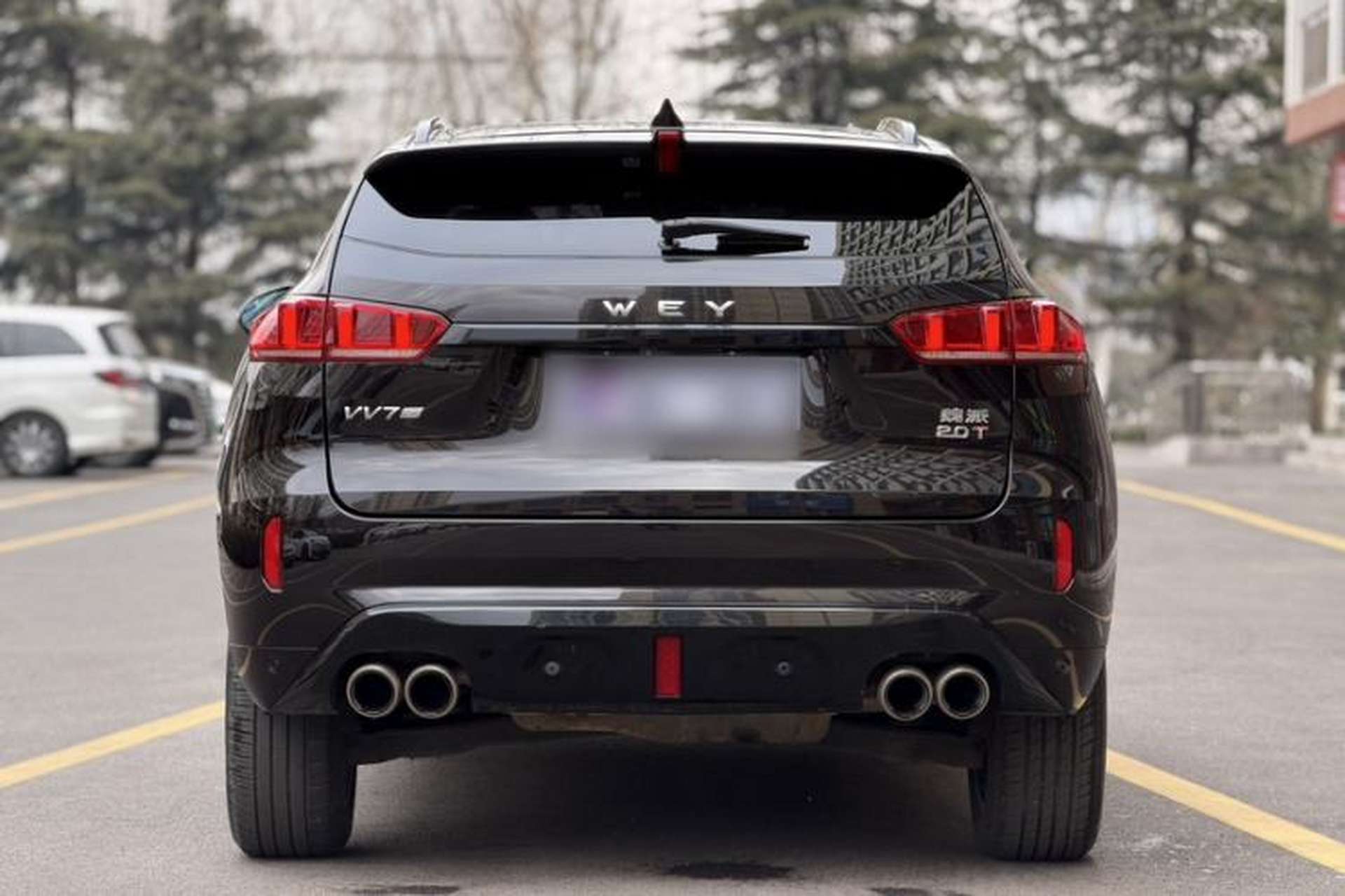 Used Wey VV7 2019 Upgraded Model 2.0T Ultra-Luxury Version China VI Standard Exterior 5