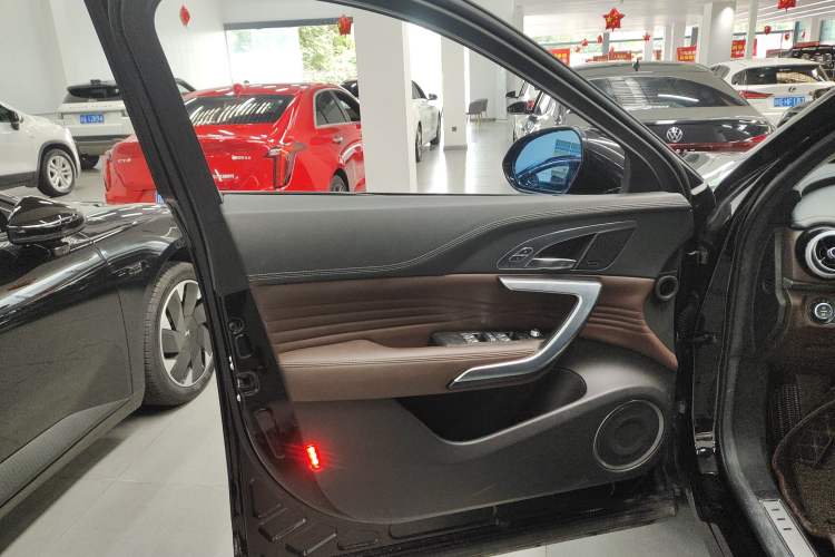 Used Wey VV7 2019 Upgraded Model 2.0T Ultra-Luxury Version China VI Standard Left Front Door Interior