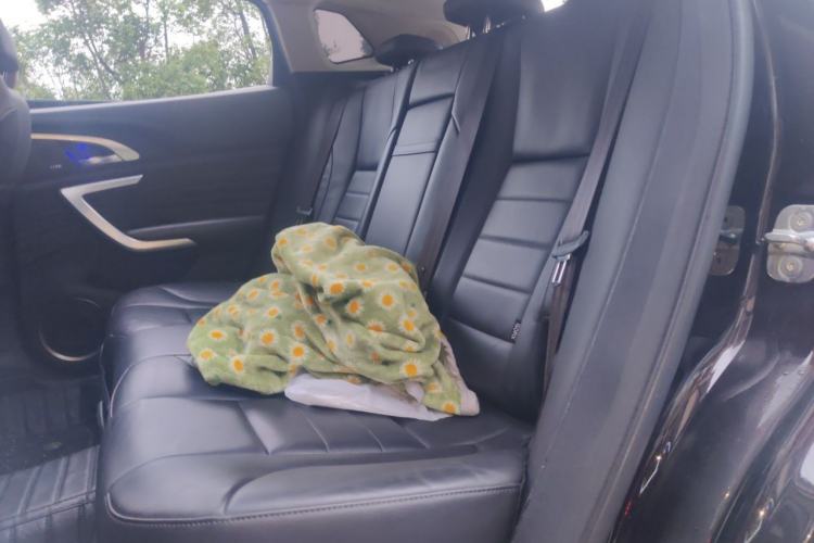 Used Wey VV7 2019 Upgraded Model 2.0T Ultra-Luxury Version China V Standard Left Rear Seat
