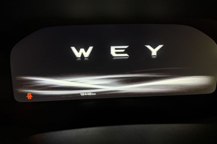 Used Wey VV7 2019 Upgraded Model 2.0T Flagship Version China VI Odometer Close Up