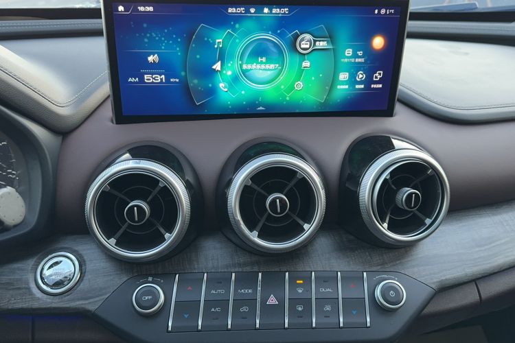 Used Wey VV7 2020 2.0T Flagship Edition Audio And AC Panel