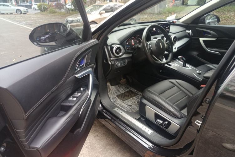 Used Wey VV7 2020 2.0T Ultra-Luxury Version Driver Seat