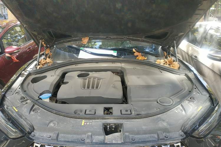 Used Wey VV7 2020 2.0T Flagship Edition Engine Bay
