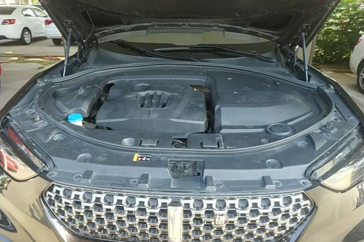 Used Wey VV7 2020 2.0T Flagship Edition Engine Bay