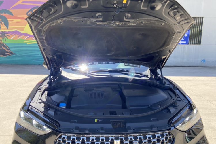 Used Wey VV7 2020 2.0T Ultra-Luxury Version Engine Bay