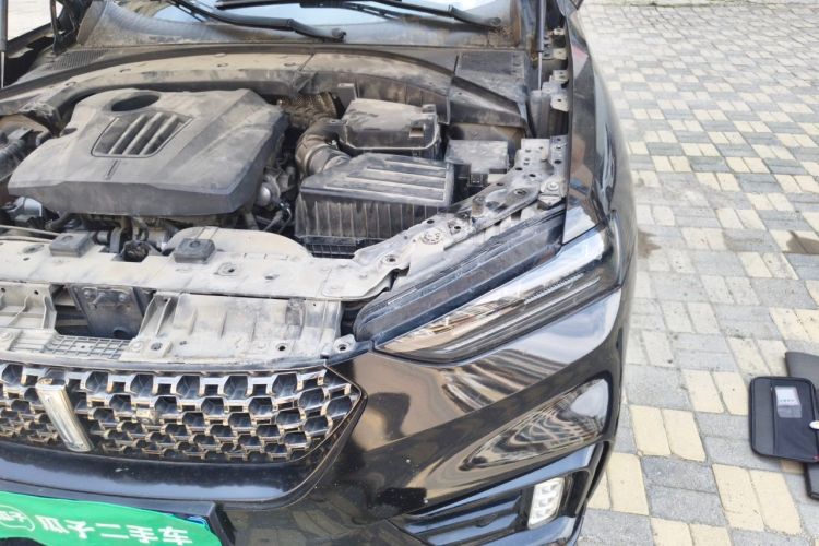 Used Wey VV7 2020 2.0T Ultra-Luxury Version Engine Bay Left