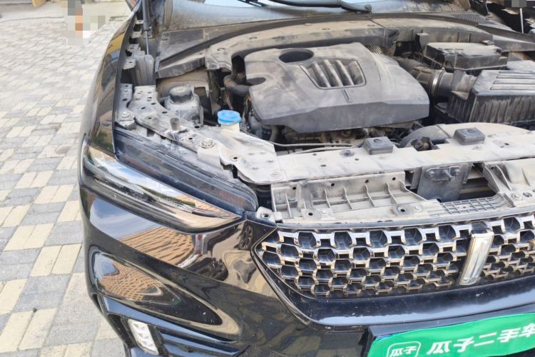 Used Wey VV7 2020 2.0T Ultra-Luxury Version Engine Bay Right