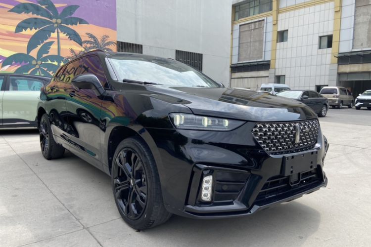 Used Wey VV7 2020 2.0T Flagship Edition Exterior 5