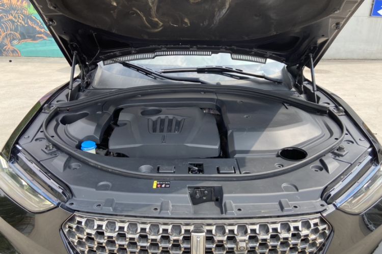 Used Wey VV7 2020 2.0T Flagship Edition Exterior 9