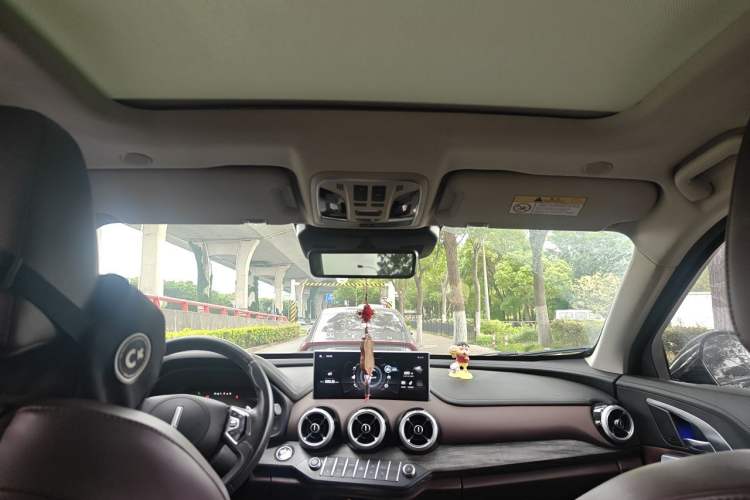 Used Wey VV7 2020 2.0T Flagship Edition Headliner