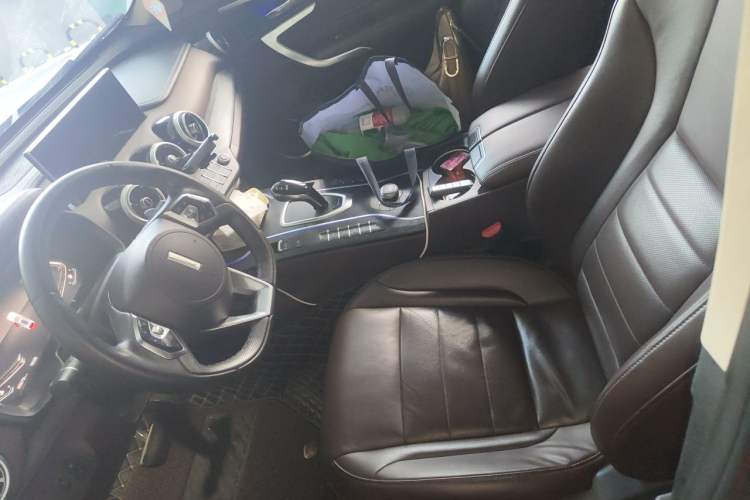 Used Wey VV7 2020 2.0T Flagship Edition Left Front Seat