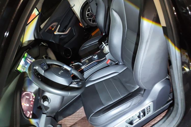 Used Wey VV7 2020 2.0T Flagship Edition Left Front Seat