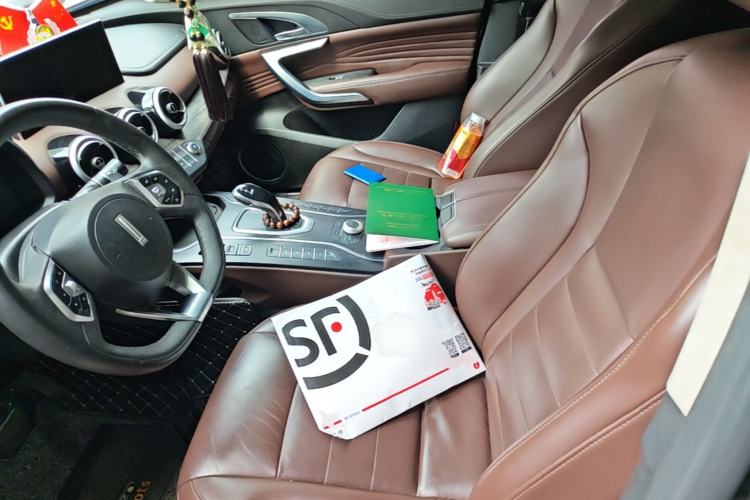 Used Wey VV7 2020 2.0T Flagship Edition Left Front Seat