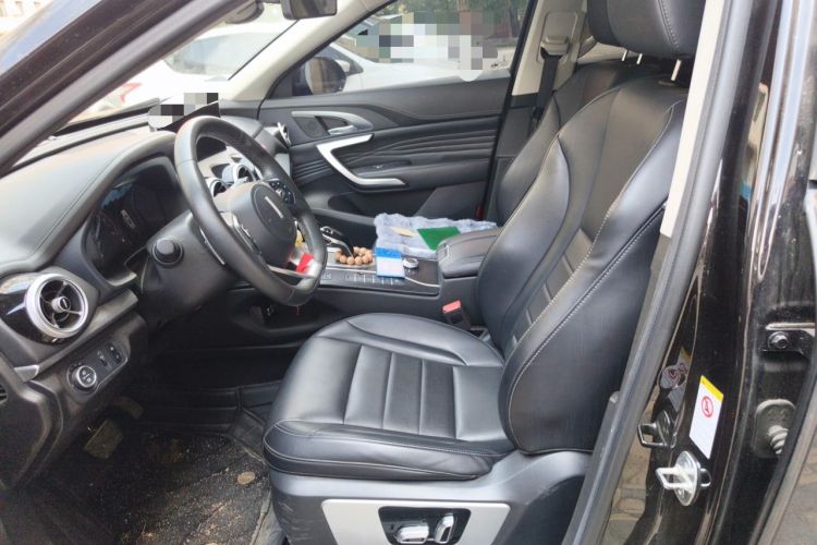 Used Wey VV7 2020 2.0T Ultra-Luxury Version Left Front Seat