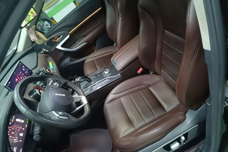 Used Wey VV7 2020 2.0T Ultra-Luxury Version Left Front Seat
