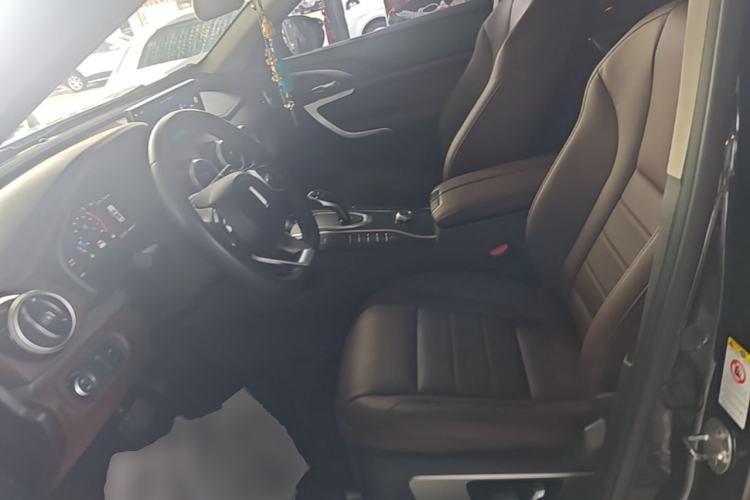 Used Wey VV7 2020 2.0T Ultra-Luxury Version Left Front Seat