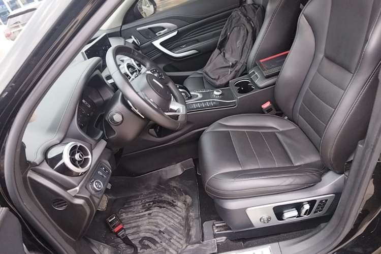 Used Wey VV7 2020 2.0T Flagship Edition Left Front Seat