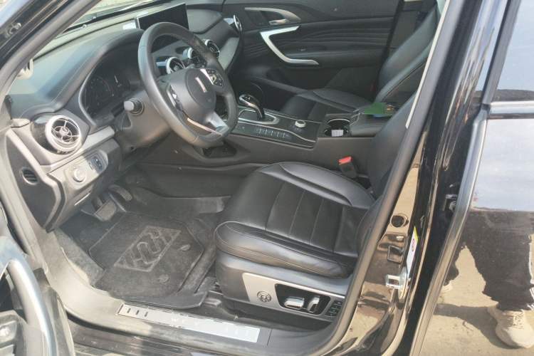 Used Wey VV7 2020 2.0T Flagship Edition Left Front Seat