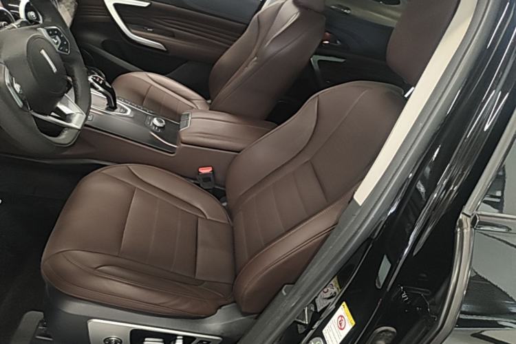 Used Wey VV7 2020 2.0T Flagship Edition Left Front Seat