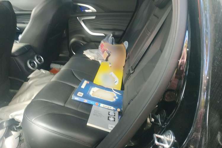 Used Wey VV7 2020 2.0T Flagship Edition Left Rear Seat