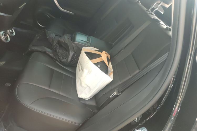 Used Wey VV7 2020 2.0T Ultra-Luxury Version Left Rear Seat