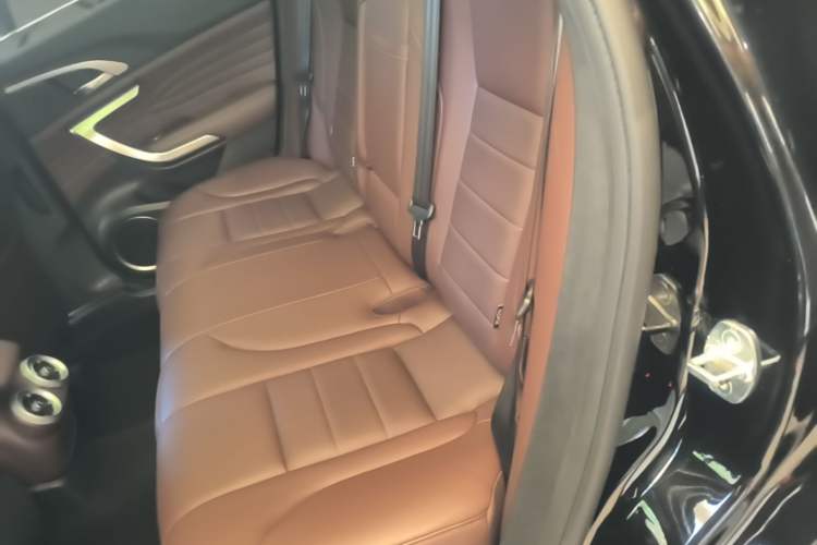 Used Wey VV7 2020 2.0T Ultra-Luxury Version Left Rear Seat