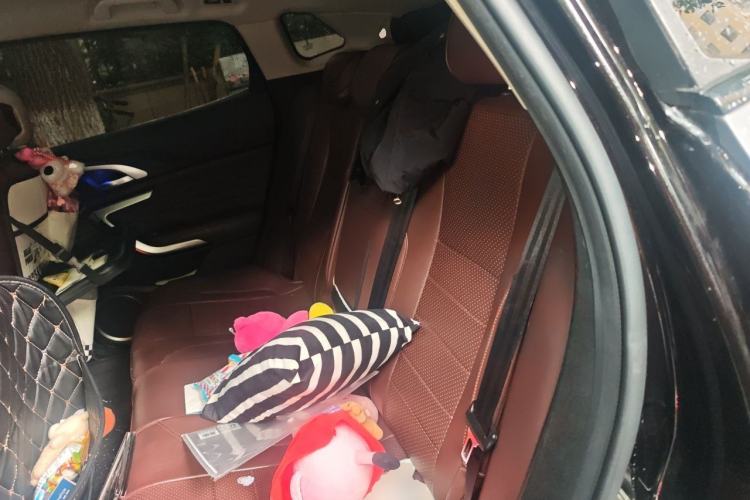 Used Wey VV7 2020 2.0T Flagship Edition Left Rear Seat