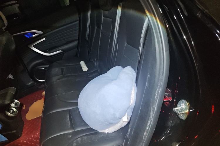 Used Wey VV7 2020 2.0T Flagship Edition Left Rear Seat